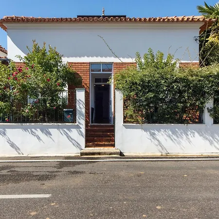 Vivenda Barros Villa Sangalhos Exterior photo